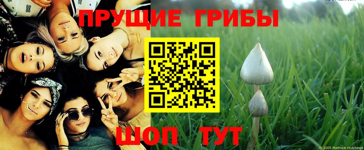 Псилоцибиновые грибы мицелий Великий Устюг