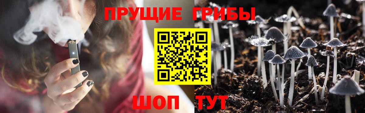 Псилоцибиновые грибы GOLDEN TEACHER  Вход с VPN  Великий Устюг 
